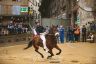 Palio Straordinario: la fotogallery delle Prove di Addestramento Mattutine